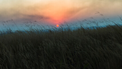 Long Grass Winds Field Distant Sun Setting Nature Countryside