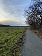 Road in a field on a winter day on Schwanheim Meadow