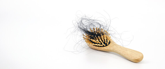 Hair loss stuck on the comb with white background concepts of hairloss problems or thin hair and scalp health.