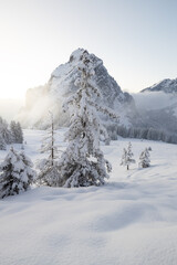 Fototapeta na wymiar Die Mythen - Schwyzer Alpen