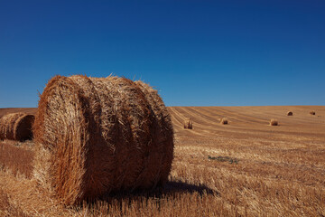 Hay bales on a countryside agricultural field.