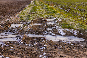 Fototapeta premium A path in winter with grass and frozen water puddles