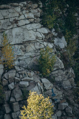 Stone quarry in the forest.
