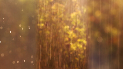 different phases of rain set