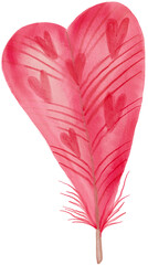 Watercolor Feather Isolated on Transparent Background. Png