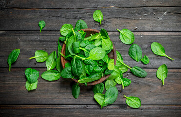 Fototapeta premium Green spinach in bowl.