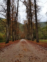 The Beautiful Scenery of Bosnia Herzegovina