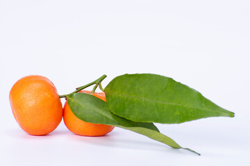 primo piano di clementini isolato su fondo bianco