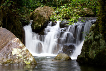 waterfall in the forest
