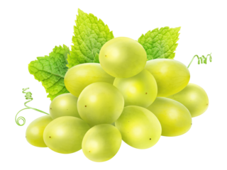 White grapes and mint leaf cut out