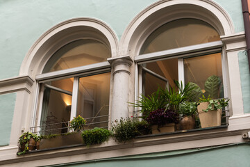 Decorative Window With Plants