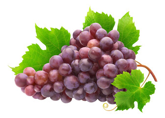 Bunch of red grapes with leaves on a branch of vine cut out