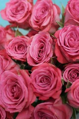 bouquet of pink roses