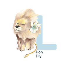 Letter L, lion and lily, cute kids colorful animals and flower ABC alphabet. Watercolor illustration isolated on white background. Can be used for alphabet or cards for kids learning English