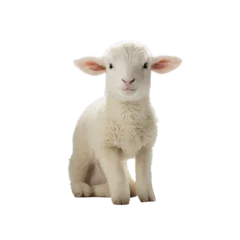 Foto auf Alu-Dibond  Young sheep lamb created with Generative Ai © Smart Future