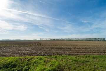 Fototapeta na wymiar Agricultural fields near Sluis, the Netherlands