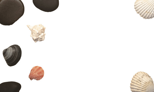 Coquillages et galets noirs sur un fond transparent pour arri&egrave;re plan.