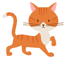 Walking kitten. Red fur cat. Ginger pet