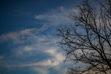 Otra visión de la naturaleza