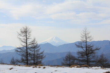 雲取山の登山道から見た冬の富士山