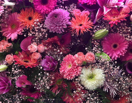 Flowers wall background with amazing mixed gerbera's  or daisy's flower banner backgrounds. 
Various color gerbera flower background wall.
urban jungle wall.
Valentine or Mother's day backgrounds.