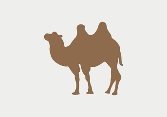 camel icon vector. camel sign on white background. camel icon for web and app