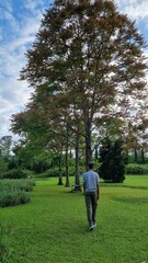 Fototapeta premium person walking in the park