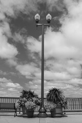 Street light post with two big flower pots on each side. On the left a brown bench. The post is in front of the water on navy pier in black and white