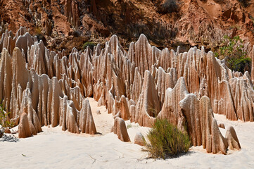 Red Tsingy – Tsingy Rouge - near Diego Suarez, Madagascar