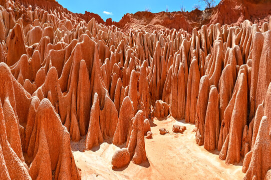 Red Tsingy &ndash; Tsingy Rouge - near Diego Suarez, Madagascar