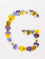 Flower font Alphabet a,b,c,q, r, s, t, made of Real pansy flowers.