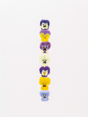 Flower font Alphabet a,b,c,q, r, s, t, made of Real pansy flowers.