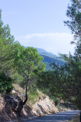 road in the mountains