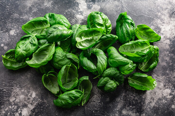 Fresh Genovese basil leaves isolated over dark background, top view. Ocimum basilicum herb