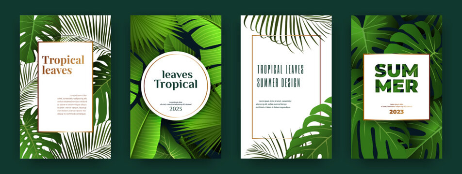 Tropic leaf covers, banana and monstera leaves, exotic posters. Summer fashion organic certificate , green flyer or notebook cover. Floral frame. 3d natural elements. Vector design template