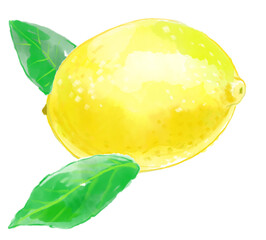 レモンの果実と葉っぱの水彩イラスト
