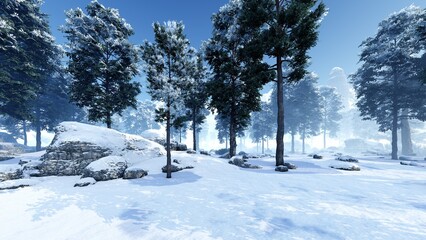 Landscape with winter pine forest