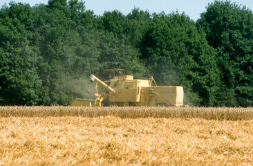 Fototapeta premium Moisson, blé, Gatine Tourangelle, 37, Indre et Loire, France