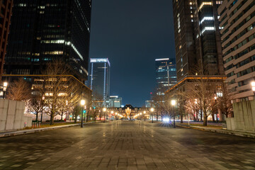 Fototapeta premium 行幸通りから見る東京駅と丸の内ビル群の夜景 東京丸の内