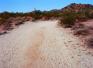 Dirt road sonora desert