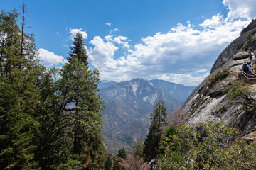 Fototapeta na wymiar Sequoia National Park, USA