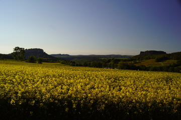 Obraz premium Gelbe Sächsische Schweiz