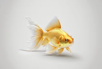 Fotobehang gold fish on clean background created with Generative AI technology © Robert Herhold