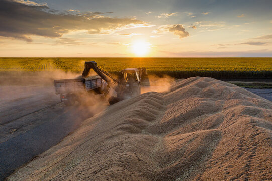 Threshing 이미지 찾아보기 14,706 스톡 사진, 벡터 및 비디오 Adobe Stock