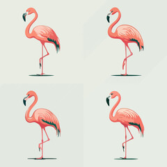 vector flat flamingos collection in a different style drawing