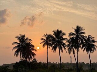 Fototapeta na wymiar Sunset view of sky and sea. Clouds and ocean, palm trees, Maldives, Kulhudhuffushi city, birds