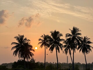 Fototapeta na wymiar Sunset view of sky and sea. Clouds and ocean, palm trees, Maldives, Kulhudhuffushi city, birds