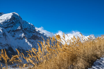 A walk along the trails of the Caucasus Mountains. January 2023, Elbrus region, Kabardino-Balkarian...