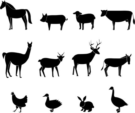 Farm animals silhouettes set on isolated white background. Vector illustration.