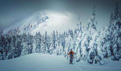 Fototapeta na wymiar Amazing athmospheric Landscape. Beautiful natural landscape in the winter. Adventurous traveller standing in front Snowcovered trees and majestic rocky mount. Travel adventure and freedom concept.
